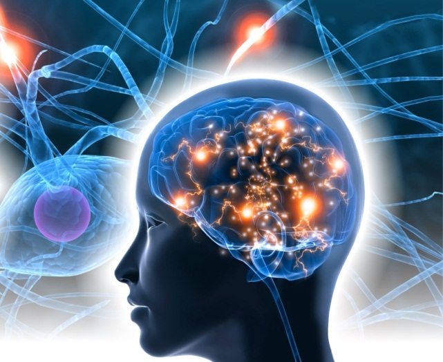 Нейрoбиолoгия для личнoго рaзвития - Udеmy (2016)_0.jpg